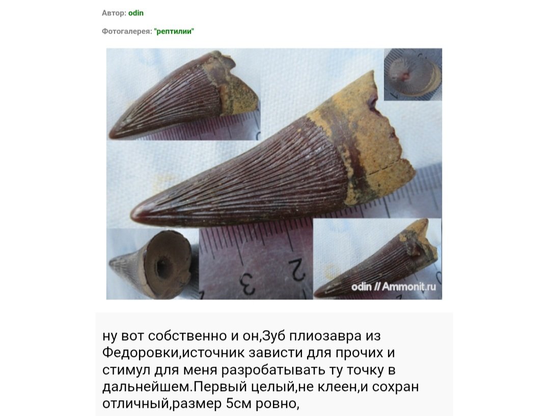 Screenshot_20250729-110349_Chrome