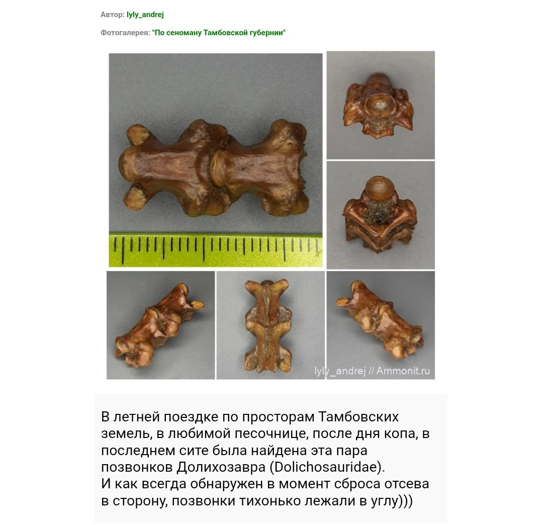 Screenshot_20250729-110407_Chrome