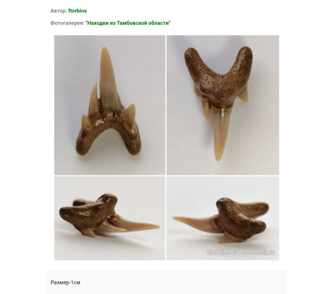 Screenshot_20250729-110445_Chrome