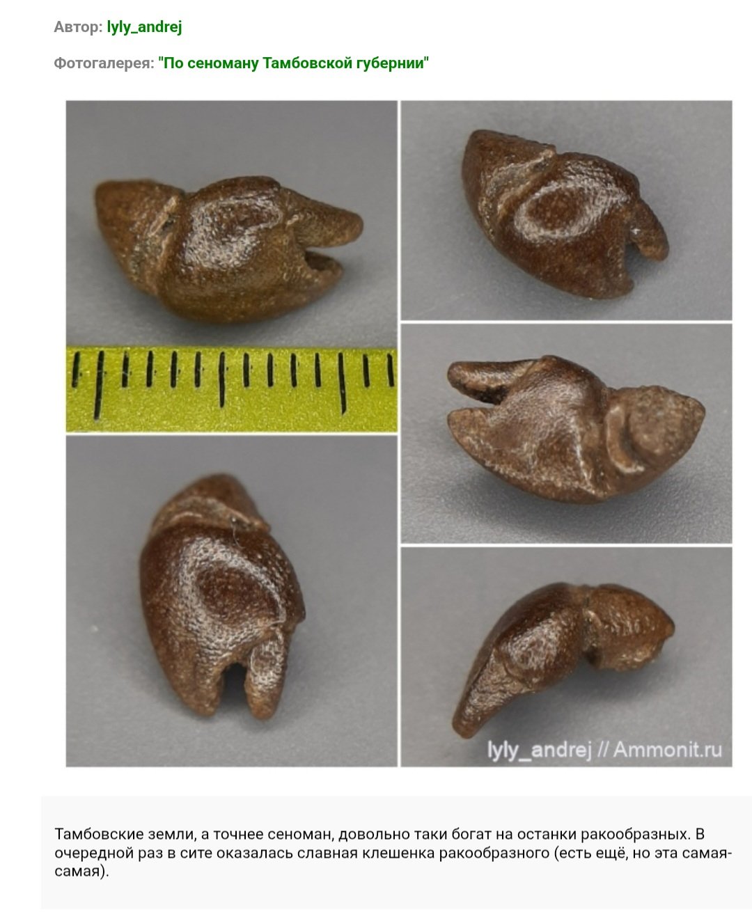 Screenshot_20250729-110600_Chrome