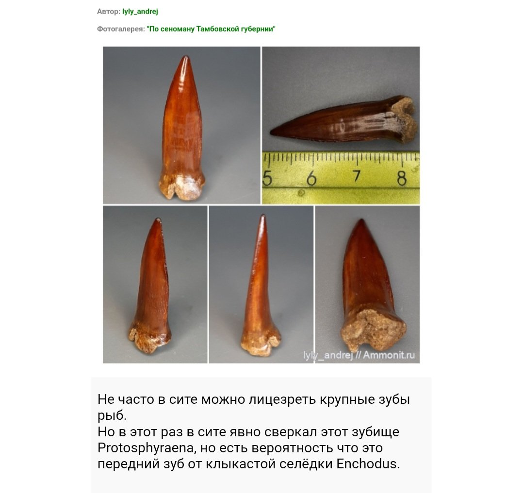 Screenshot_20250729-110701_Chrome