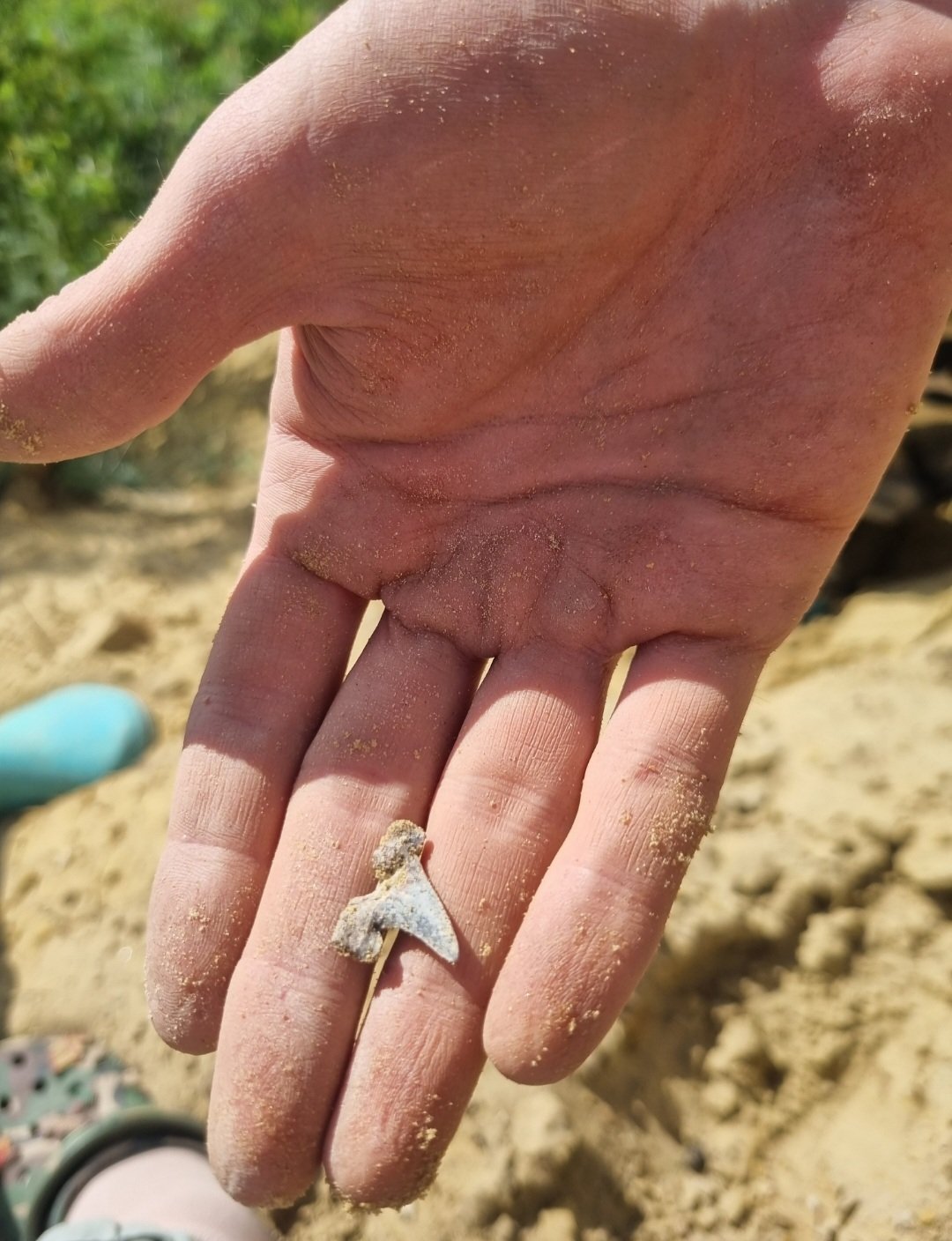 Screenshot_20250730-205608_Gallery