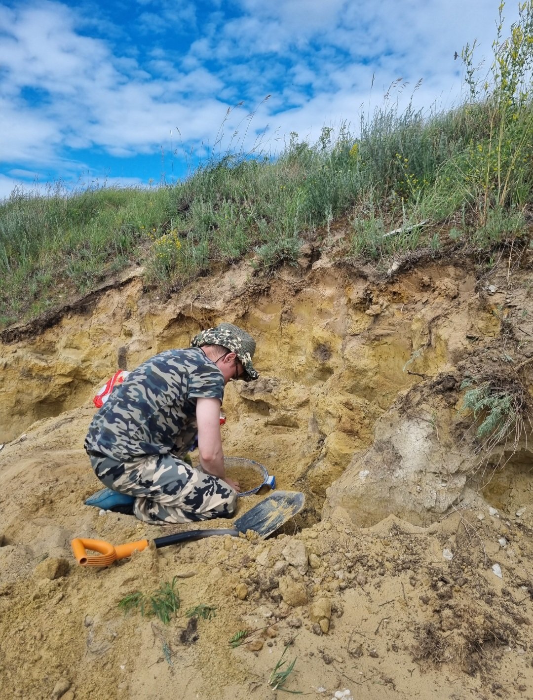 Screenshot_20250730-205632_Gallery