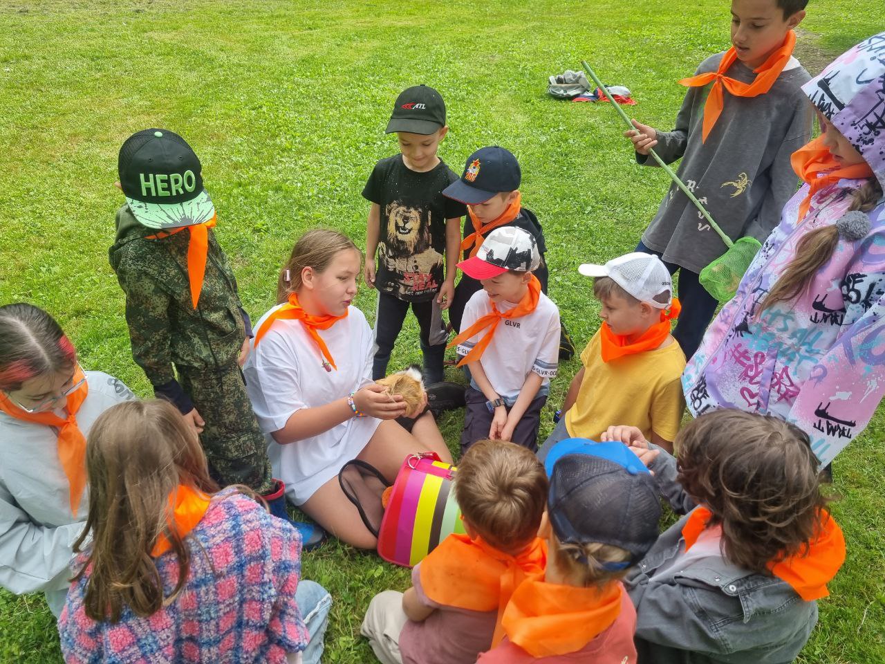 Юный скаут лисенок